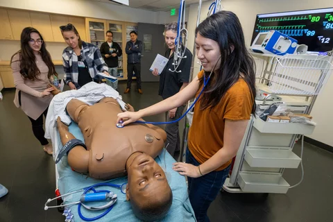 Computerized patient simulator that has heart and lung sounds, a pulse, and can be shocked with a defibrillator.