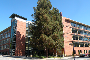 UCLA College Of Life Sciences