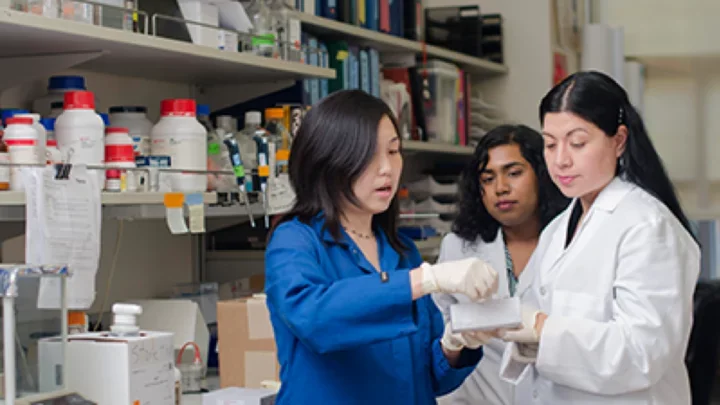 Jessica Wang Lab 