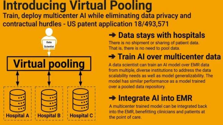 Project Zebra virtual pooling model. (Courtesy of Project Zebra)