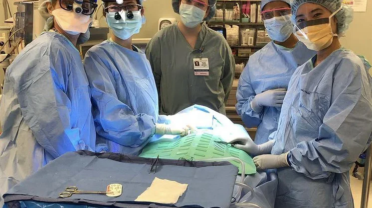 Natalie Chapkis during rotations