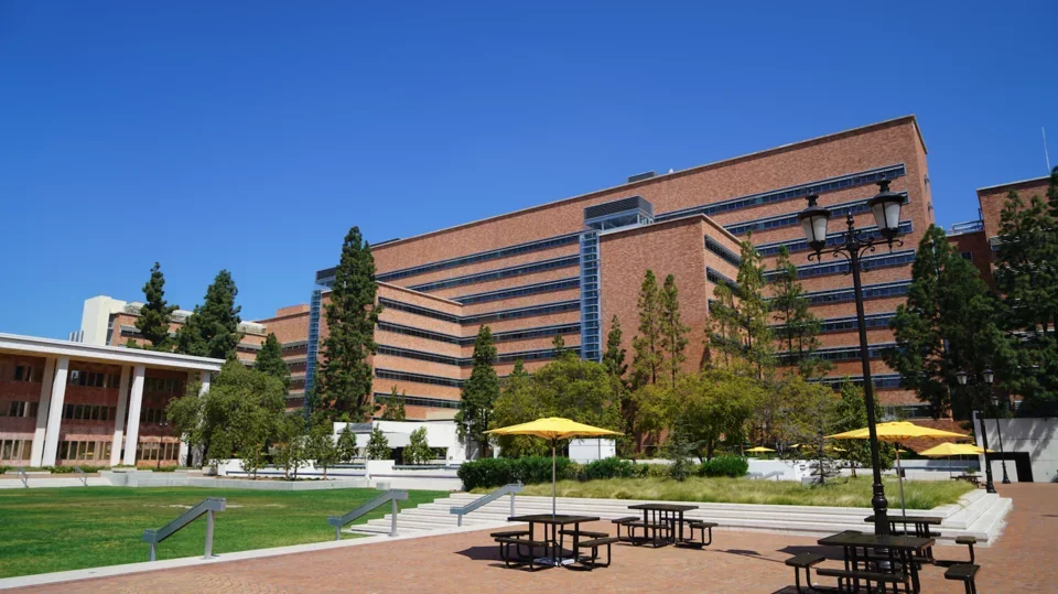 A view of the South Tower of CHS from Switzer Plaza