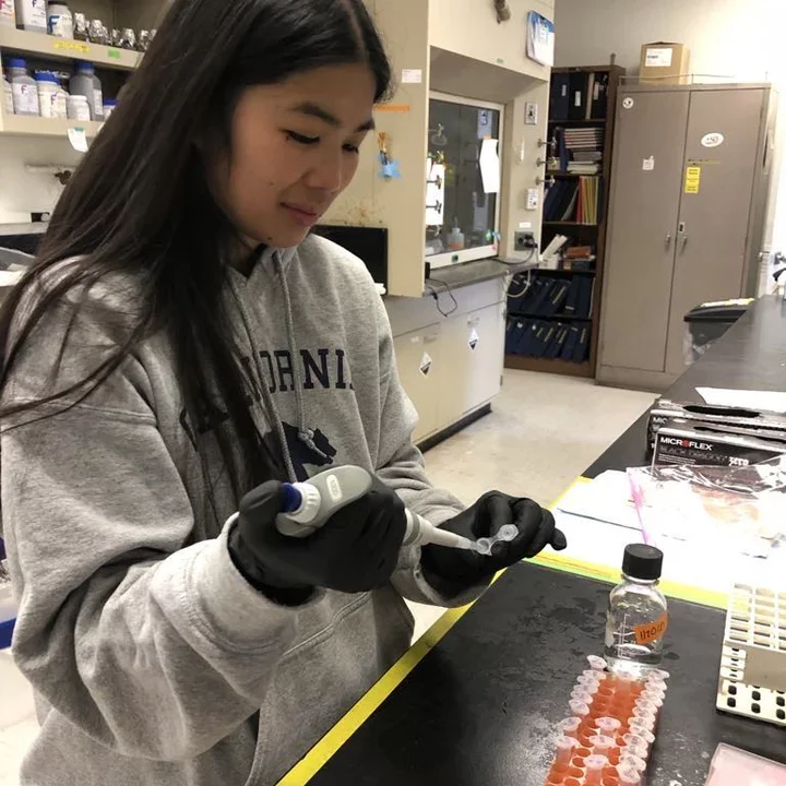 UCLA PhD student Nikki Cheung, pictured here investigating antibiotic resistance in the laboratory.