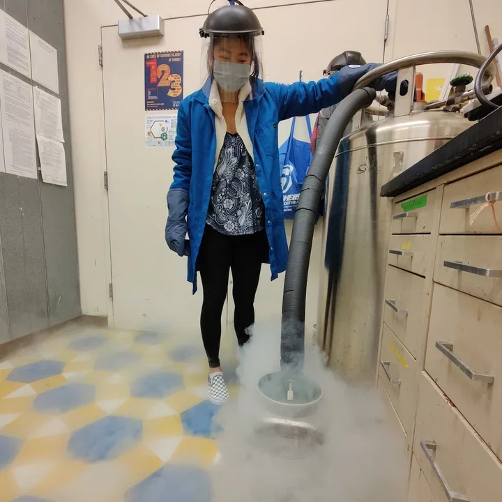 UCLA PhD student Nikki Cheung, pictured here investigating antibiotic resistance in the laboratory.