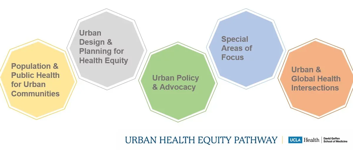 Urban Health Equity Pathway themes