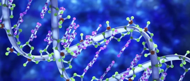 DNA - Human Genetics