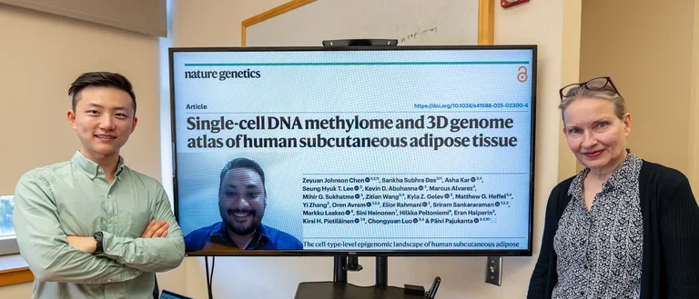 Human Genetics - Researchers Map Epigenomic Landscapes Fat Tissue Cells
