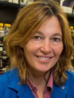 Carla Koehler, PhD - Mitochondria research scientist