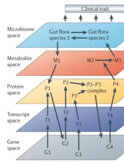 Diagram of clinical trait.png 