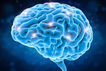 Brain with lit up areas