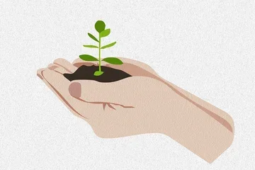 Hands holding soil with a small green plant sprouting from it.