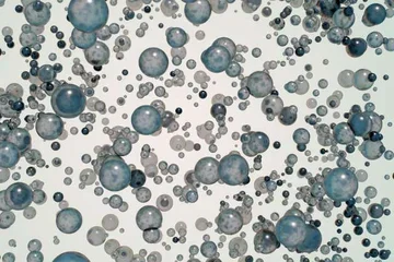 A representation of microbubble technology, which could advance cancer therapy