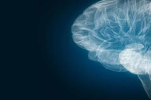 Photo of graphed out view of brain and brain stem