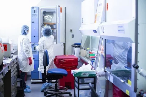 UCLA Stem Center Labshots