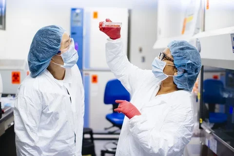 UCLA Stem Center labshots