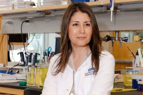 Sanaz Memarazadeh headshot