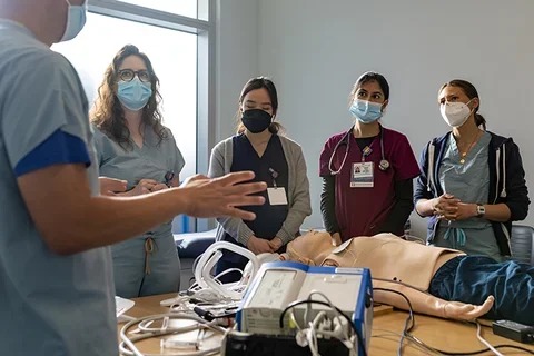 An Organ-Based Curriculum