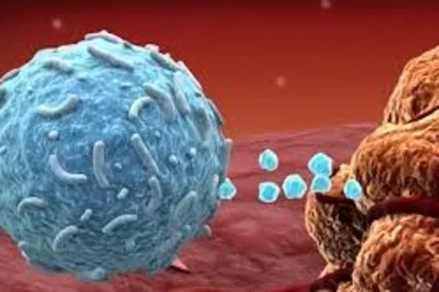 Day in the Life of Dermatopathologist