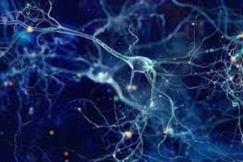Even in sleep, your brain’s neurons are humming along to Mozart