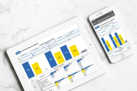 Faculty Gender Overview