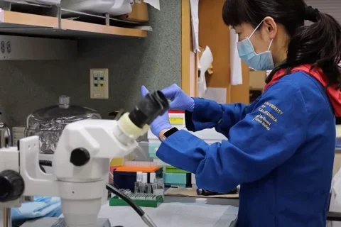 MS Symptoms in Women: Researcher in the Voskuhl Lab