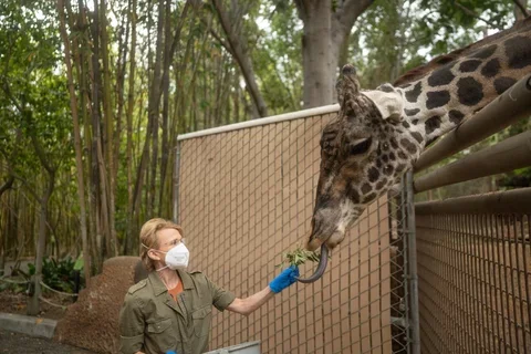 Dr. Barbara Natterson-Horowitz and a giraffe at the zoo