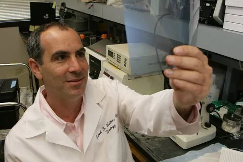Reiter in Lab