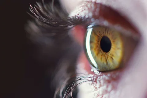 Retina