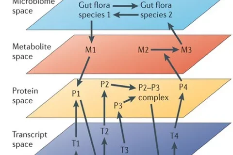 Cardiovascular calcification
