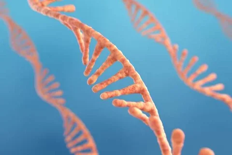 UCLA study indicates RNA might be a better biomarker than DNA to analyze biopsies