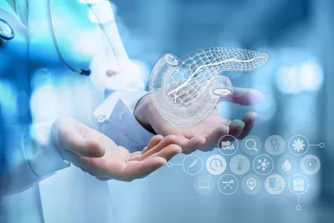 Photo of Hands Holding Graphic of Internal Organs