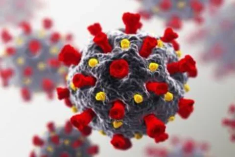 Coronavirus