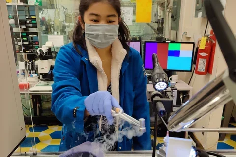 UCLA PhD student Nikki Cheung, pictured here investigating antibiotic resistance in the laboratory.