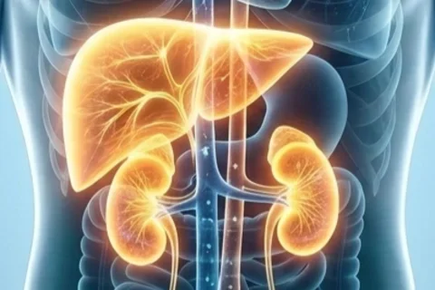 Kidney Liver Connection