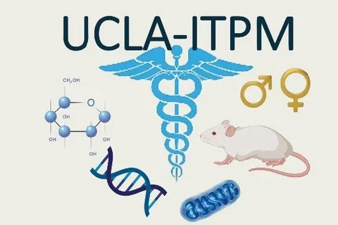 Interdisciplinary Training Program in Metabolism
