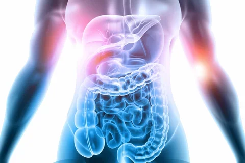 Malnourished Treatment TPN PPN Digestive System Graphic