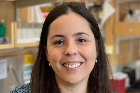 Ana Paula Arruda, PhD