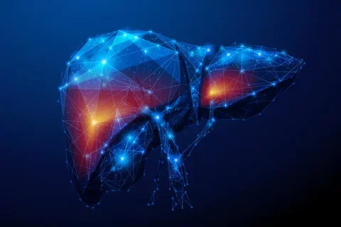 What Is Hepatitis Graphic Close Up Image of Liver Inflammation