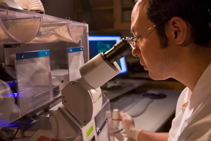 LHIRC- Scientist researching diabetes