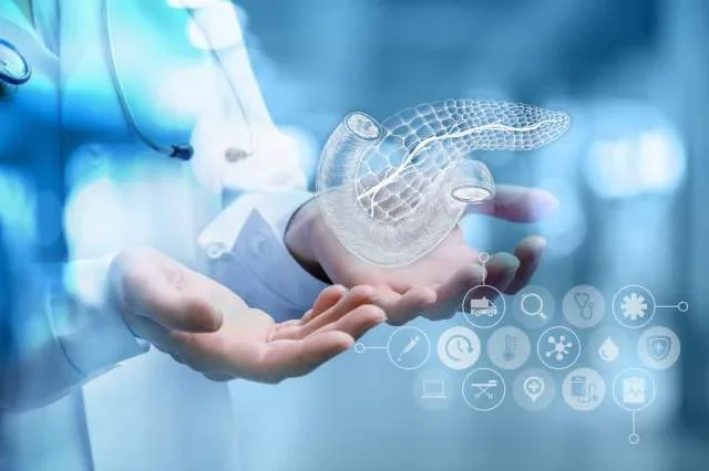 Photo of Hands Holding Graphic of Internal Organs