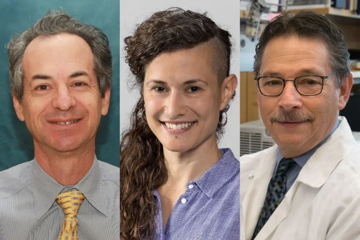 Drs. Gerald Lipshutz, Zulema Romero Garcia and Donald Kohn