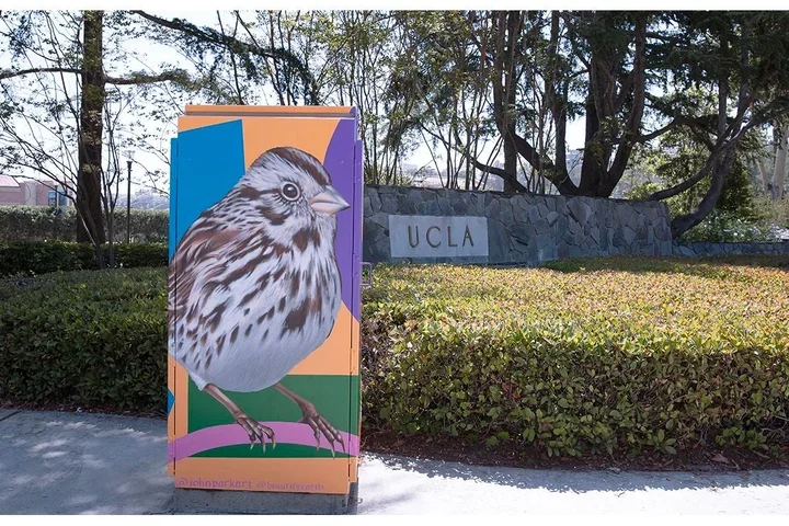 Utility box with bird mural in front of UCLA sign