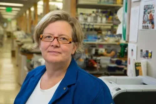 Kathrin Plath in the lab