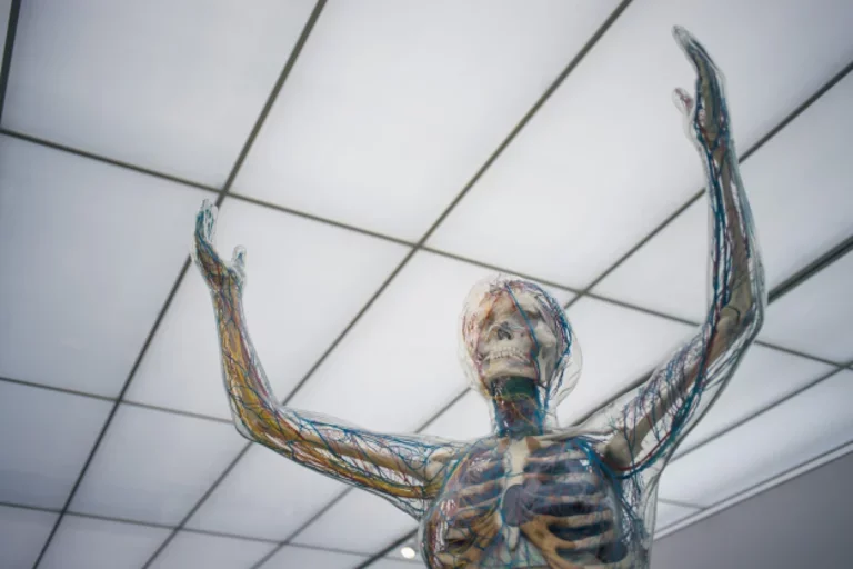What Is It Like to Be a Neurologist?