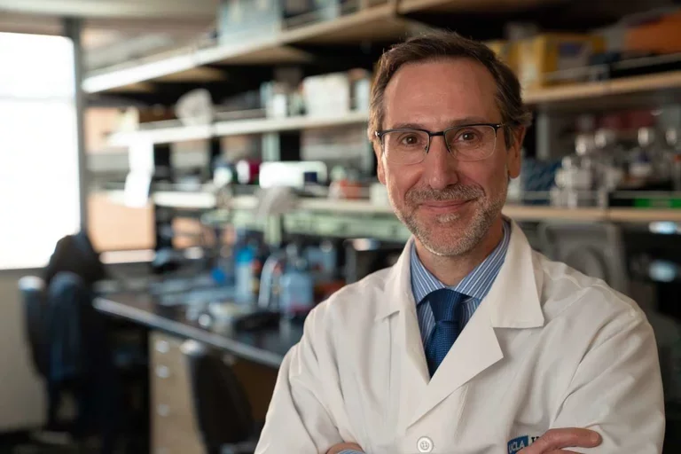 Antoni Ribas, MD, PhD