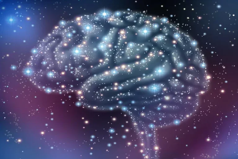 brain