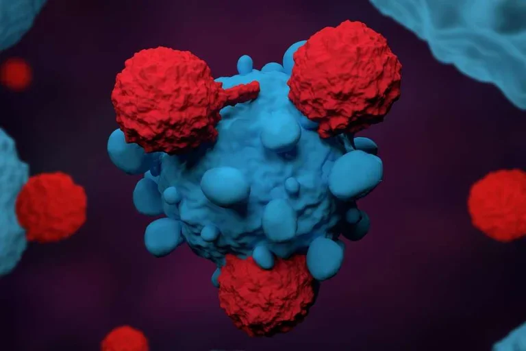 Microscopic image of cells 