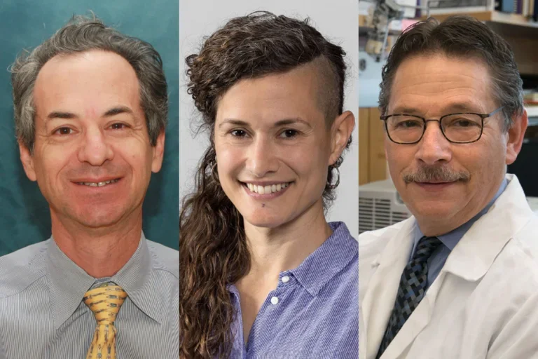 Drs. Gerald Lipshutz, Zulema Romero Garcia and Donald Kohn