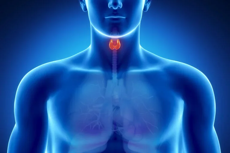 Hypothyroidism vs Hyperthyroidism Thyroid Organ Graphic