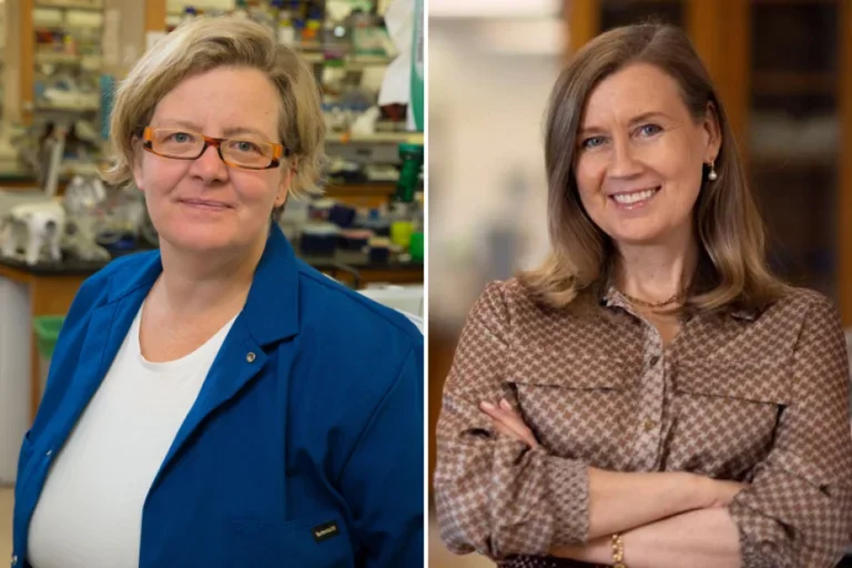 Kathrin Plath, PhD and Hanna Mikkola, MD, PhD